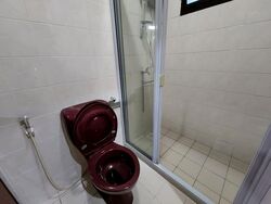Blk 667A Jurong West Street 65 (Jurong West), HDB 5 Rooms #585051511